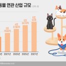 미래애견 이미지