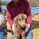 큰나무희망어린이집 | 경기도 남양주 체험농장 아이들과 함께 가기 좋은 [안데르센 정원] 후기