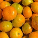 민우네농장 이미지