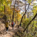 향로산 약수터 이미지