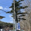 정이품송공원 화장실 | 충북 보은 당일치기 여행 법주사, 정이품송