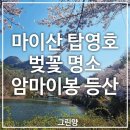 진안마이산(장수) | 진안 마이산 등산코스 암마이봉 후기｜마이산 벚꽃 탑사 탑영호 진안여행