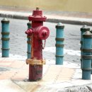 주정차044 이미지