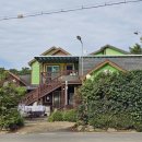 바람아래솔 이미지