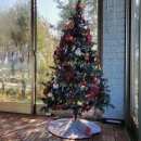 거슬러 오른집 이미지