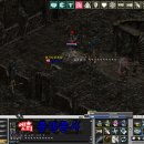 쫑생쫑사 이미지