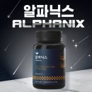 닉스 | 식후부터 챙기는 혈당 관리 루틴, 알파닉스 후기