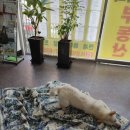 백구공인중개사사무소 이미지
