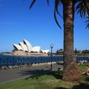 시드니 이미지