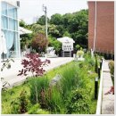 지에스(GS)25 차산늘찬빌점 | 남양주 브런치 리본팝 카페 분위기 좋아요