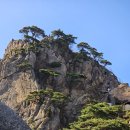 에덴동산 이미지