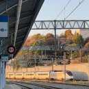 충남대학교 법학전문대학원 | 2026학년도 충남대학교 법학전문대학원 면접 후기 (가군) + 문제 복기 포함