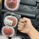 한국운전면허일본전환서류, 삿포로치이카와샵, 리락쿠마샵, 북오프중고책팔기, 삿포로실가게카나리야