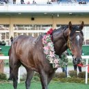 원평1로 이미지