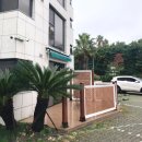 루나하우스 | 제주도애견동반숙소 추천｜서귀포숙소 탐라카운티 루나하우스 뜨르 스위트룸 솔직후기