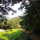 아라메길(1-1) 이미지