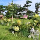 에스타시온 이미지