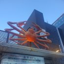 해담마을 | [공지] [역삼맛집] 자연산 해담일식 대게마을 ‘제철 자연산’의 오마카세 진짜 맛집(동영상)