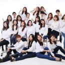 타이틀푸드 이미지