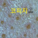 석피부관리실