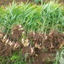 한울농장 이미지