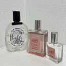 로즈 | 은은한 우아함이 머무는 향기, 필로소피 어메이징 그레이스 발레로즈 후기 🌹