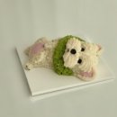 댕댕마을 이미지