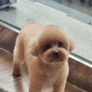 오늘도 너에개 이미지