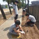 경북농약종묘사 이미지