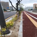 빛고을대로 이미지