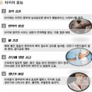 웰빙하와이