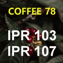 클린환경㈜ 노동조합 | 브라질 커피, 저품질 편견을 깨는 무기 ― IPR 103과 107