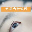 수원-0386 이미지