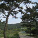 증도해뜨는 네이버블로그