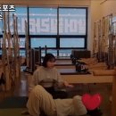 팔머메디스포츠