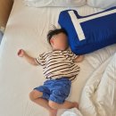따봉생비어 | 아기랑 속초 3박 4일 :: 셋째날 설악워터피아 미들시즌 오픈런, 김정옥할머니순두부 본점, 라또래요...