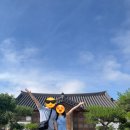 경주 여행 3일차 코스｜대릉원 포토존, 현대쌈밥, 석굴암, 경주월드까지 시간표대로 끝낸 하루