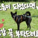 미르코보드게임룸카페 이미지