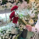 엠데코 | 조화위치 조화부케만들기 고터조화시장 엠데코비추 고터엠데코 조화부케가격 예림조화가격 예림조화부케...