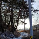 산으로 둘러쌓인 (원주,토지임야)/ 숲속야영장,오토캠핑,,7510평,11억 이미지