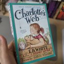 데이비드영어 | 영어 원서 |Charlotte's Web(샬롯의 거미줄)정답보다 중요한 것은 생각하는 힘 영어 원서 수업 후기