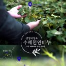생생어성초 영농조합 법인 네이버블로그