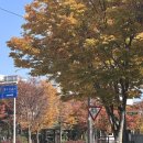 레파스 베이커스 본점 | [내돈내산] 일곡동 데이트코스 추천 탱고아구찜 + 레파스 베이커스 가을 낮 데이트 후기