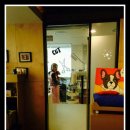 테리몽하우스 이미지