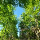 나주-빛가람전망대, 빛가람 호수공원(서남부여행 4편)
