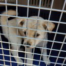 외광보건진료소 이미지