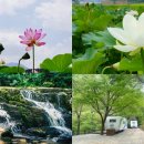 달천계곡 오토캠핑장 이미지