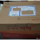 댕스얼랏 이미지