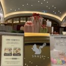 서울딸기케이크 맛집｜신세계강남케이크 쇼토케이크 솔직 후기