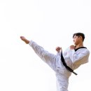 올바른 태권도 이미지